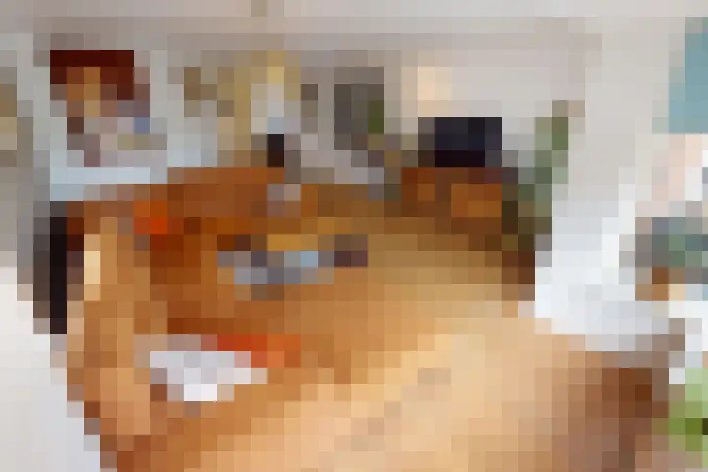 Houtstraat 22 Bovenkarspel thumbnail 18