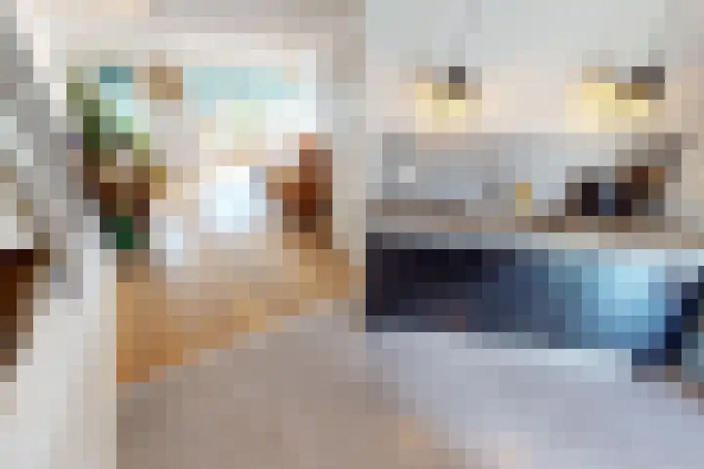 Houtstraat 22 Bovenkarspel thumbnail 25