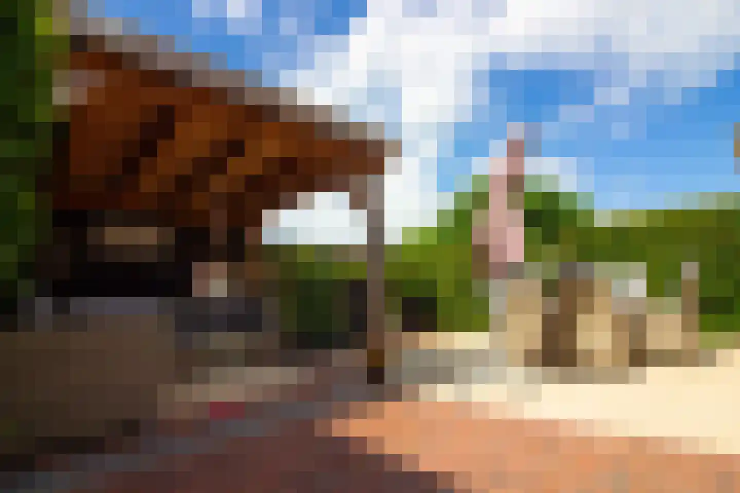 Houtstraat 22 Bovenkarspel thumbnail 36