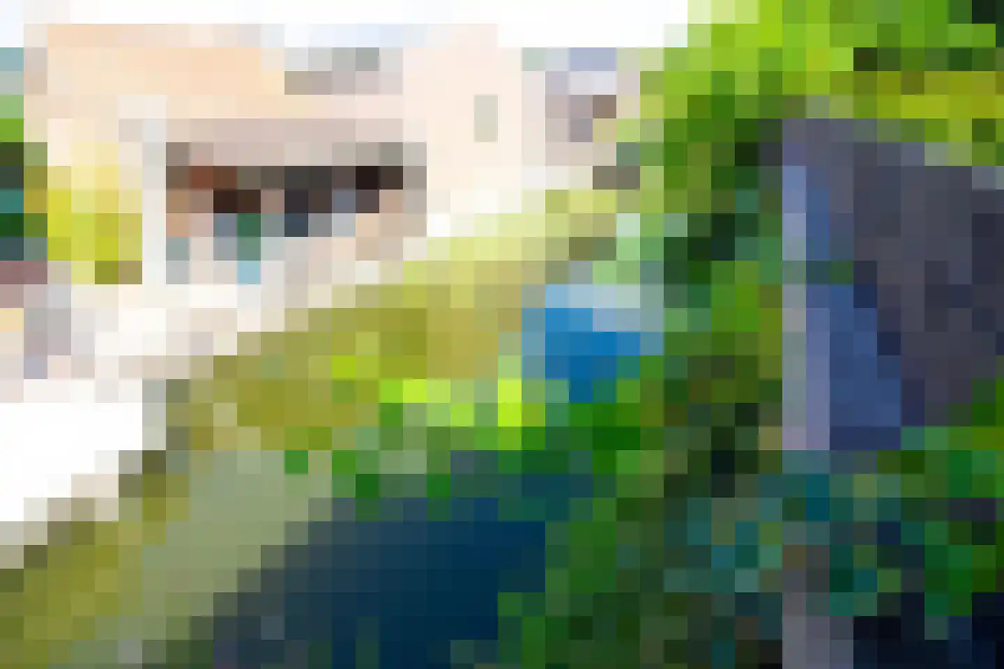 Houtstraat 22 Bovenkarspel thumbnail 41