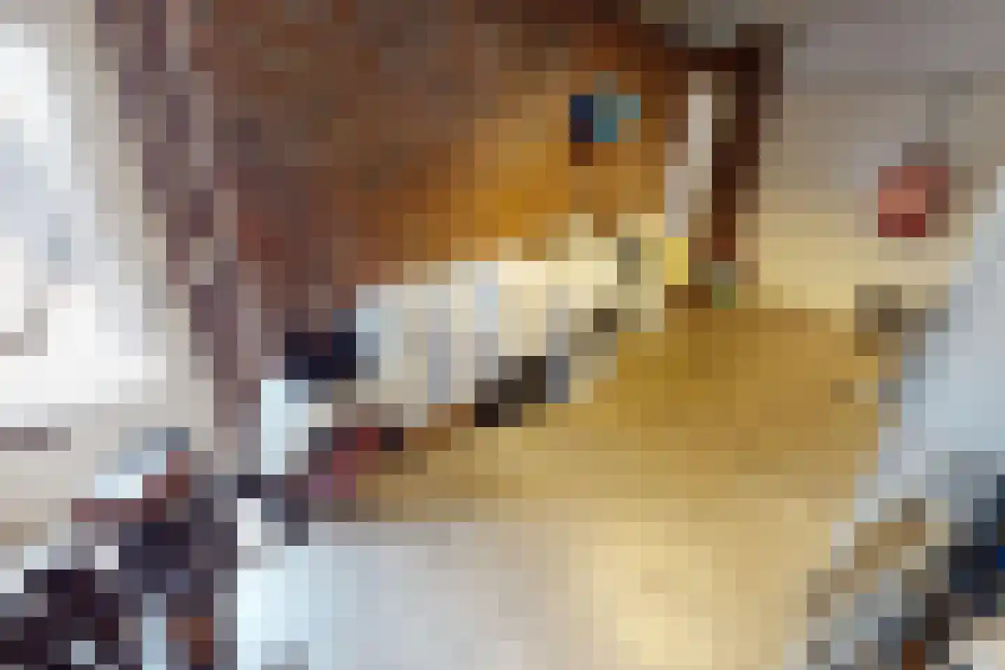 Houtstraat 22 Bovenkarspel thumbnail 47