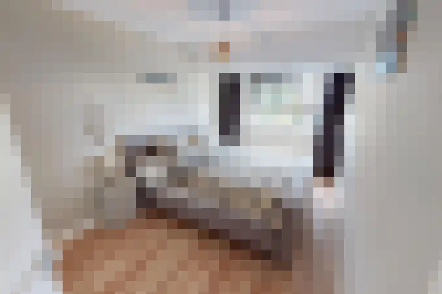 Houtstraat 22 Bovenkarspel thumbnail 48