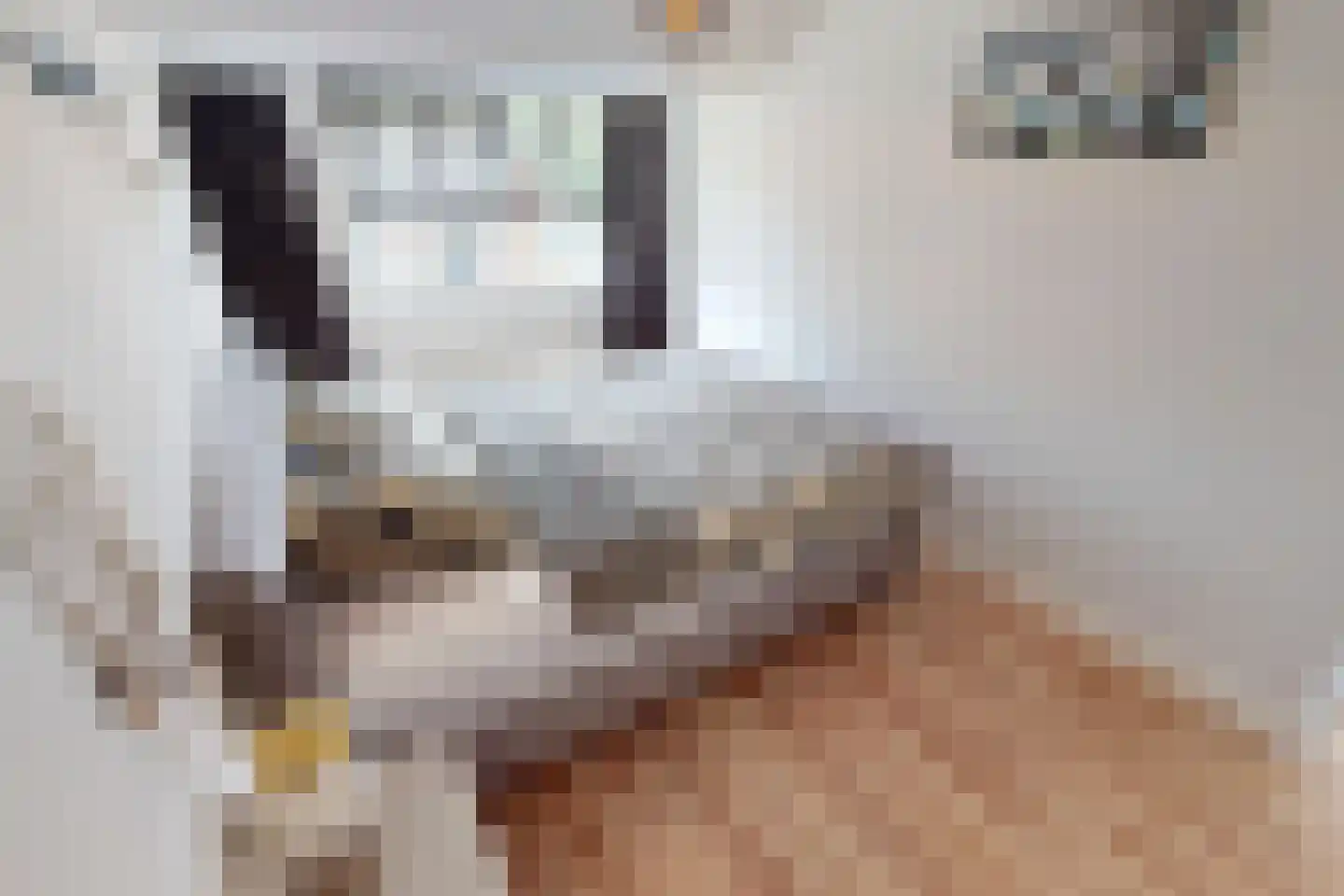 Houtstraat 22 Bovenkarspel thumbnail 51