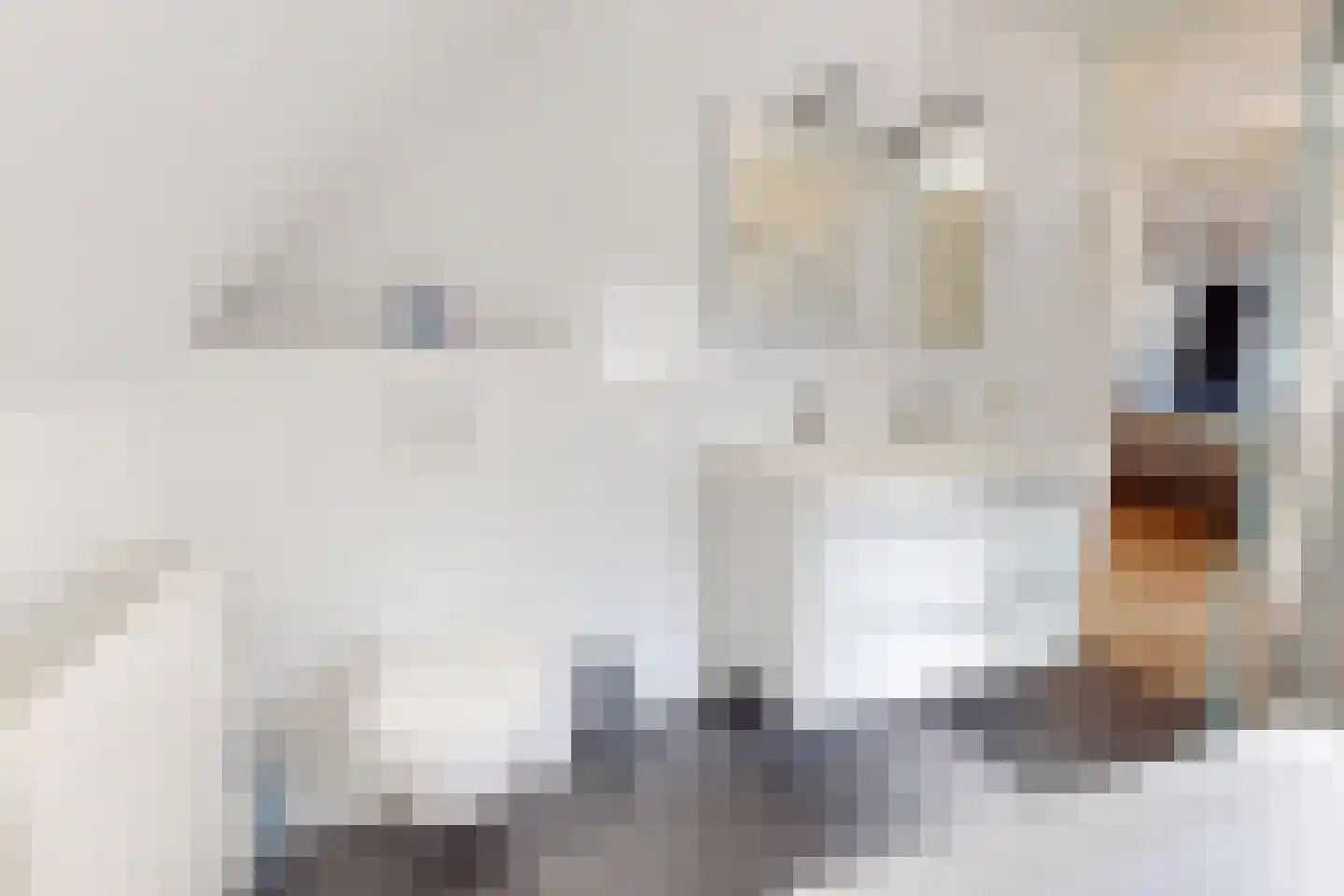 Houtstraat 22 Bovenkarspel thumbnail 65