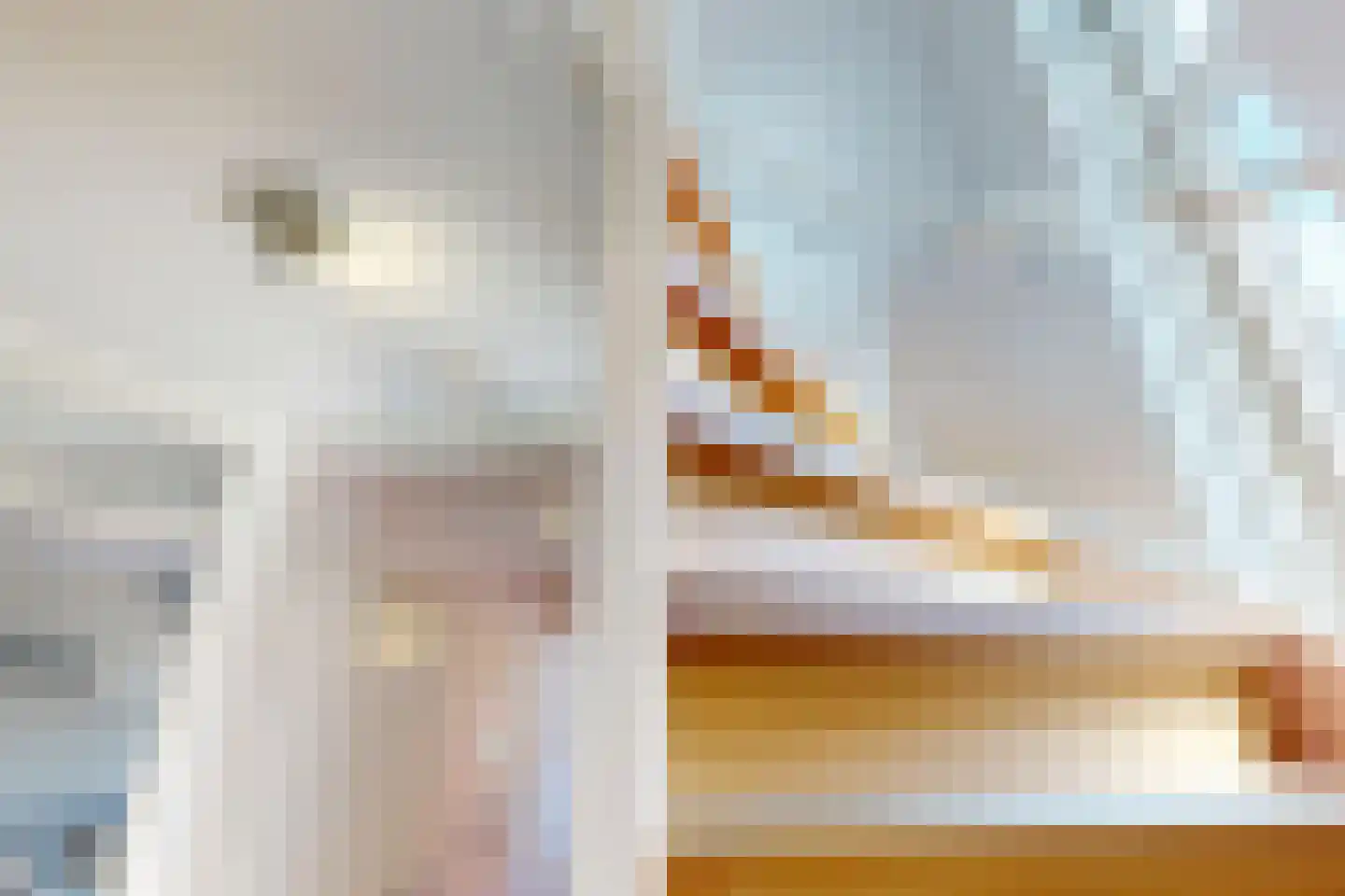 Houtstraat 22 Bovenkarspel thumbnail 69