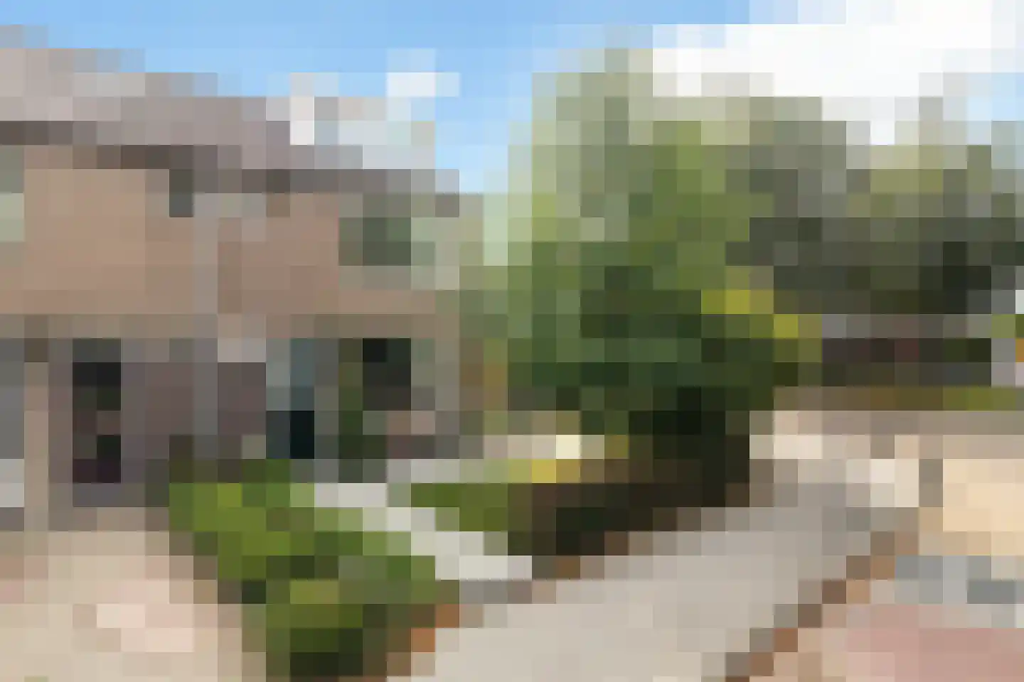 Houtstraat 25 in Bergambacht