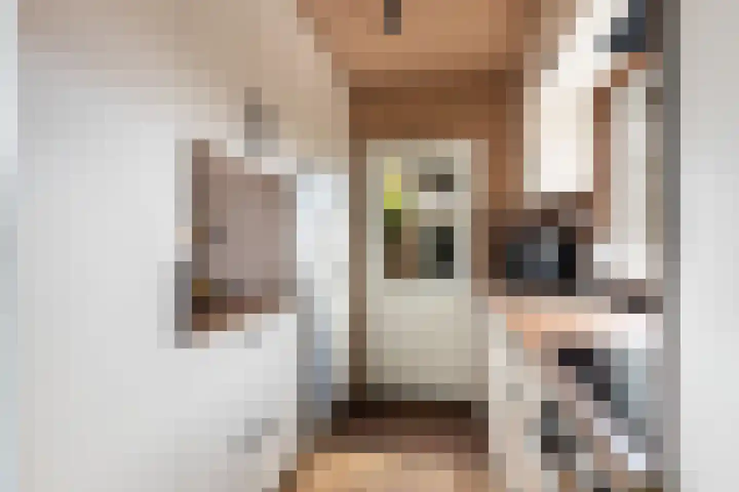 Houtstraat 25 Bergambacht thumbnail 10
