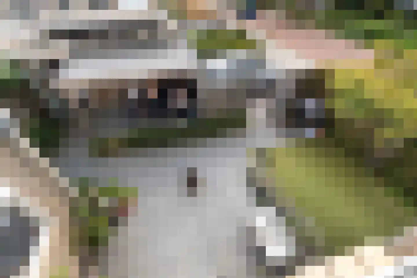 Houtstraat 25 Bergambacht thumbnail 18