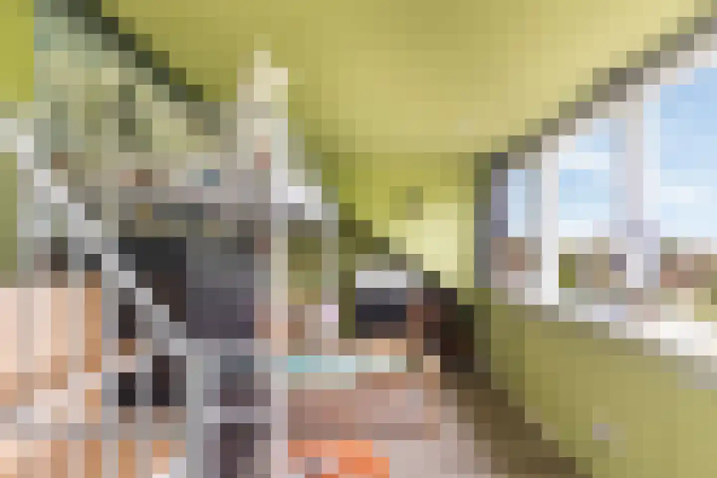 Houtstraat 25 Bergambacht thumbnail 29