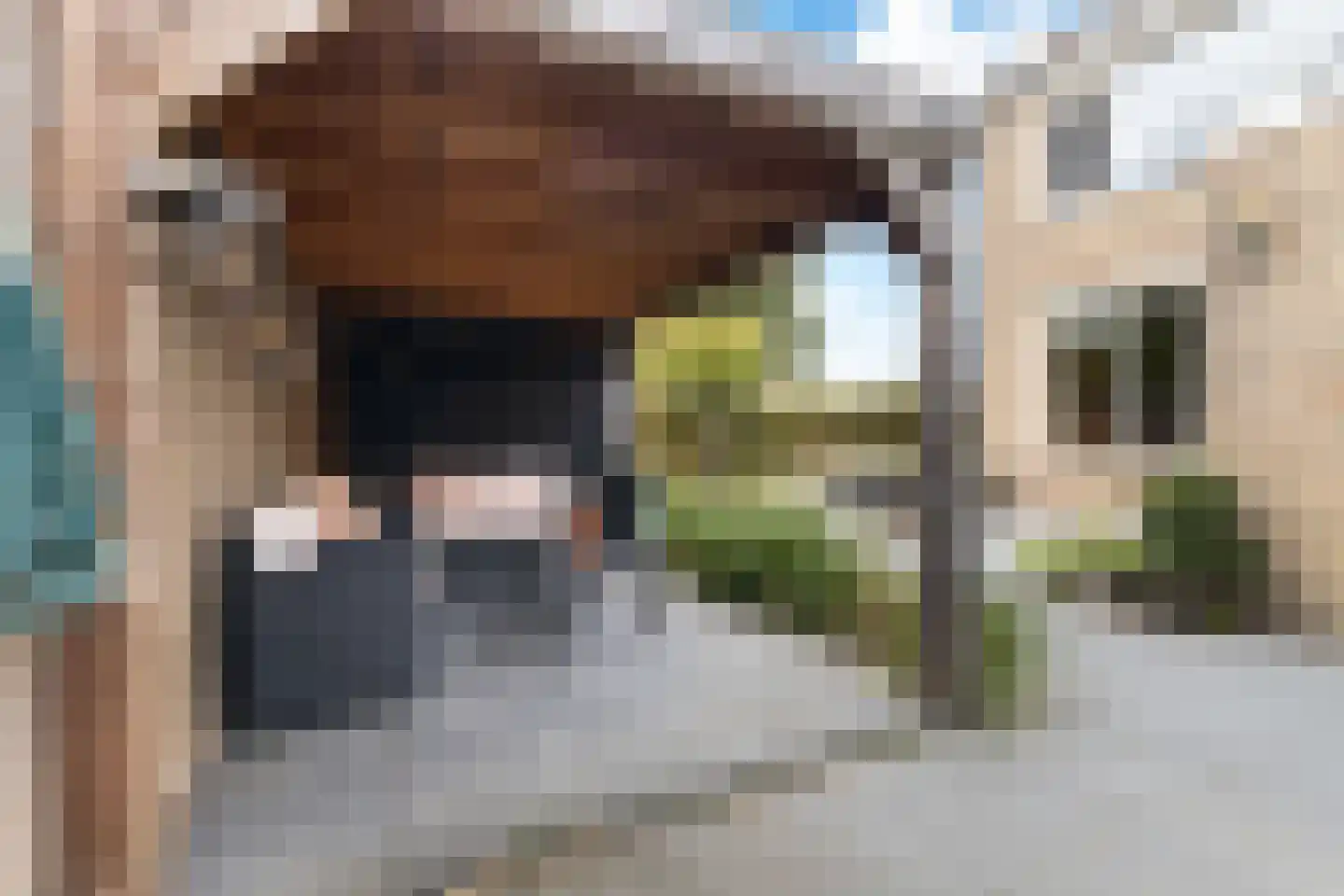 Houtstraat 25 Bergambacht thumbnail 33