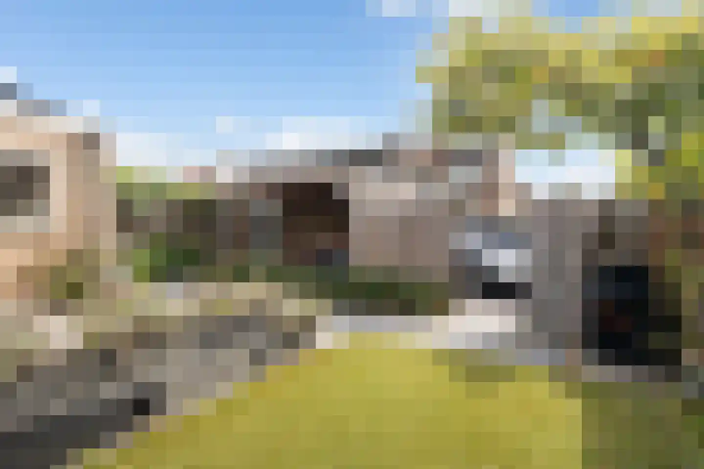 Houtstraat 25 Bergambacht thumbnail 35