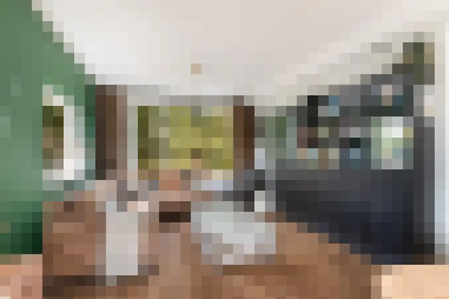 Houtstraat 25 Bergambacht thumbnail 6