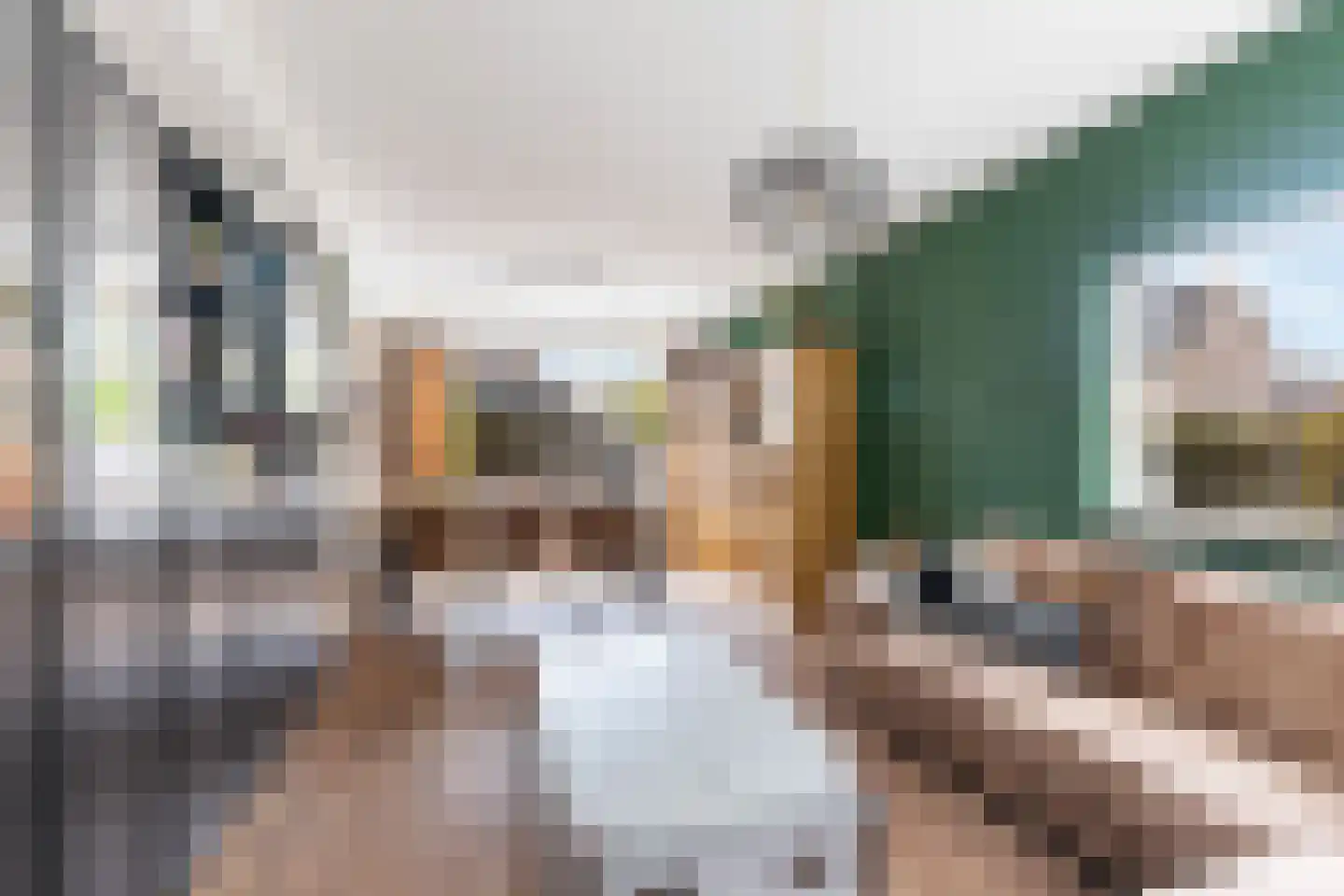 Houtstraat 25 Bergambacht thumbnail 7