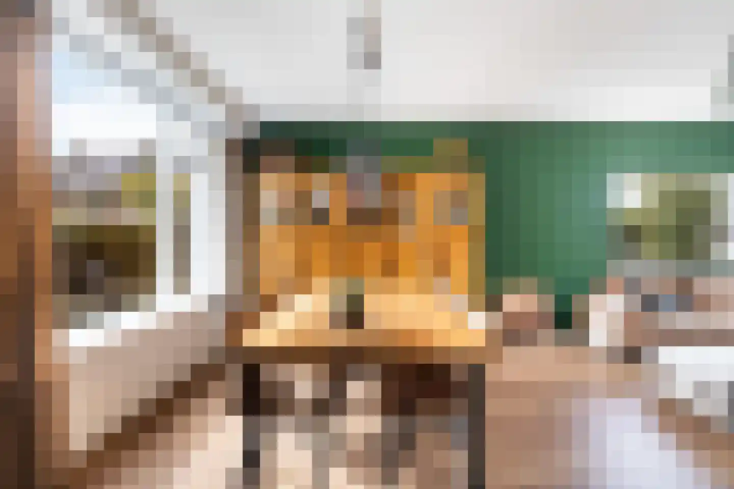 Houtstraat 25 Bergambacht thumbnail 8