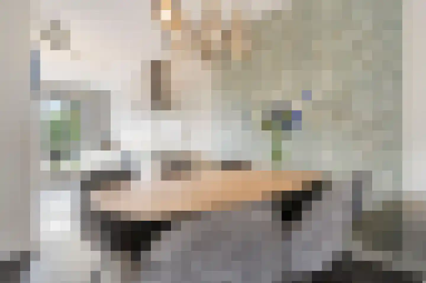 Houtstraat 31 Waddinxveen thumbnail 12