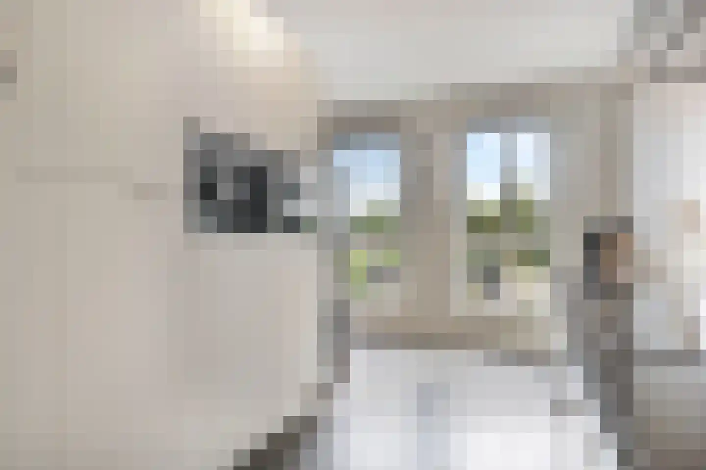 Houtstraat 31 Waddinxveen thumbnail 13