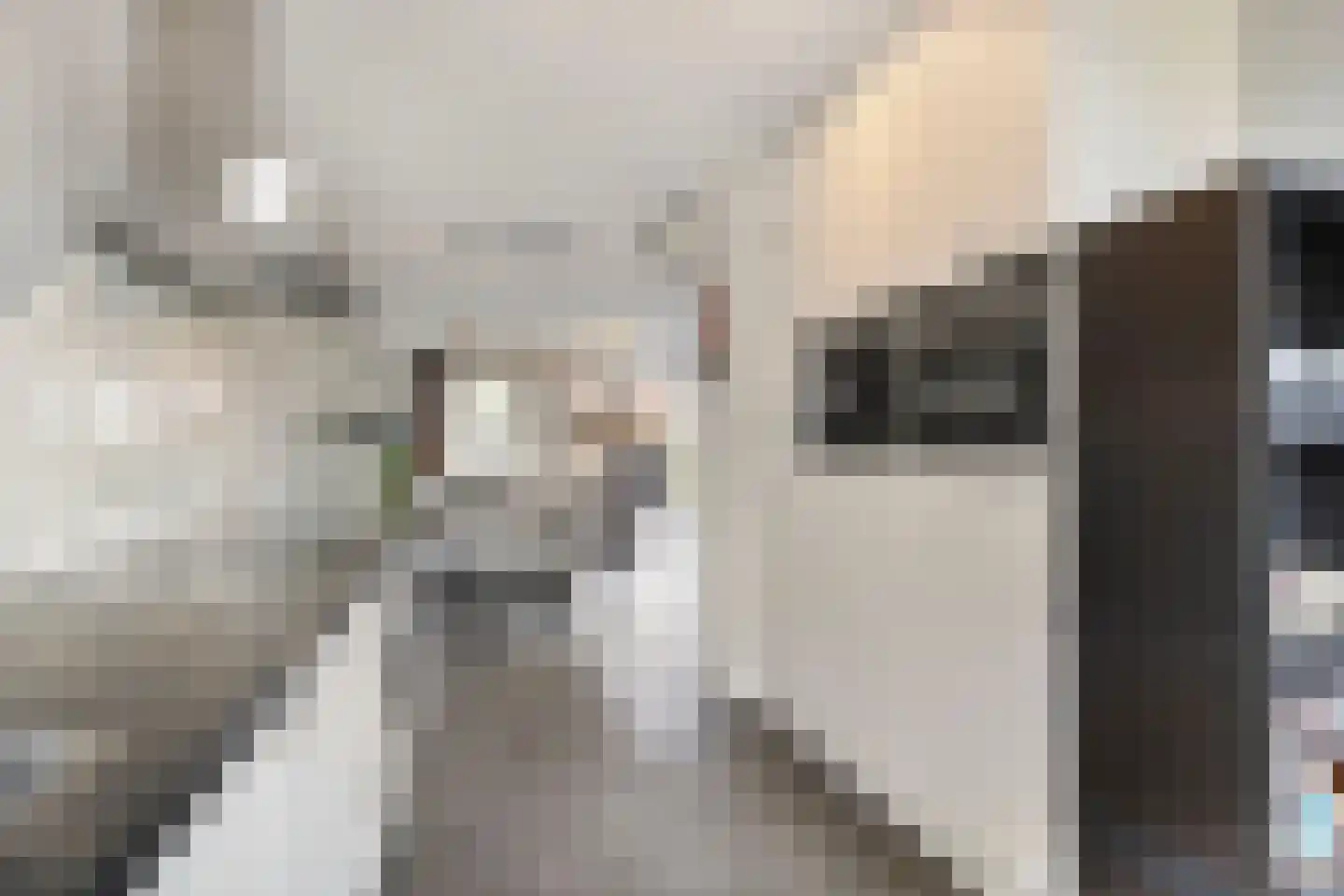 Houtstraat 31 Waddinxveen thumbnail 14
