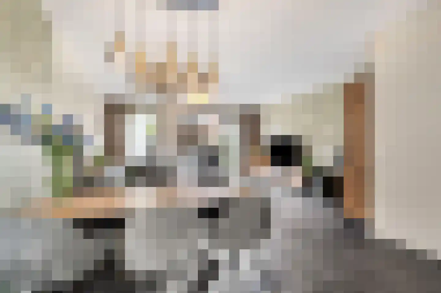 Houtstraat 31 Waddinxveen thumbnail 16
