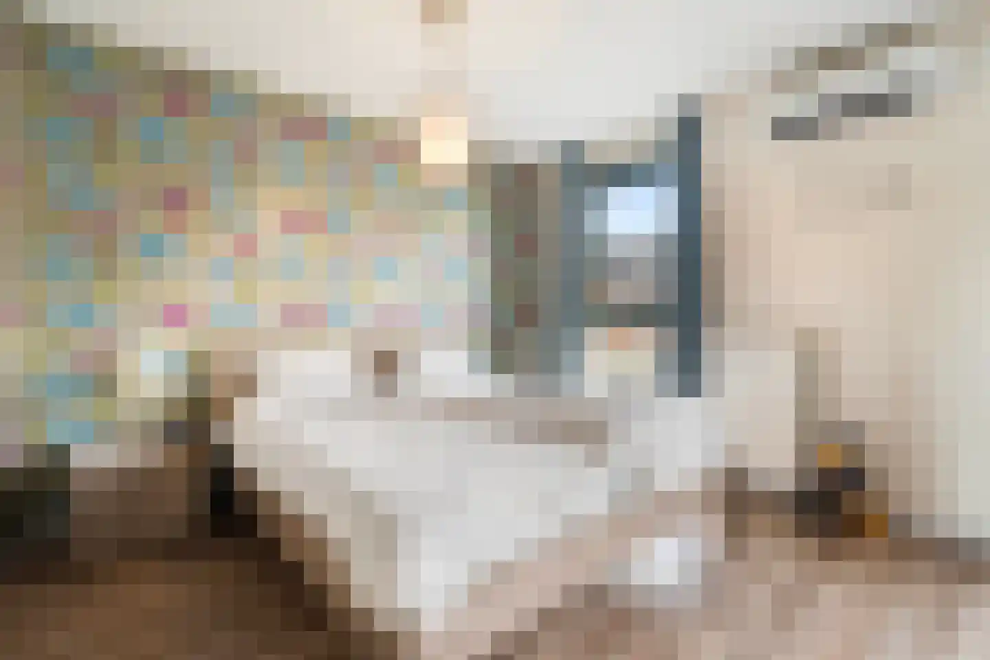 Houtstraat 31 Waddinxveen thumbnail 19