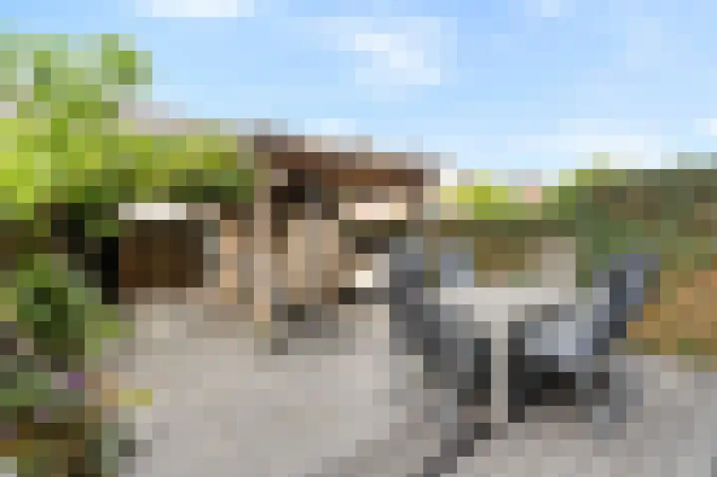 Houtstraat 31 Waddinxveen thumbnail 38