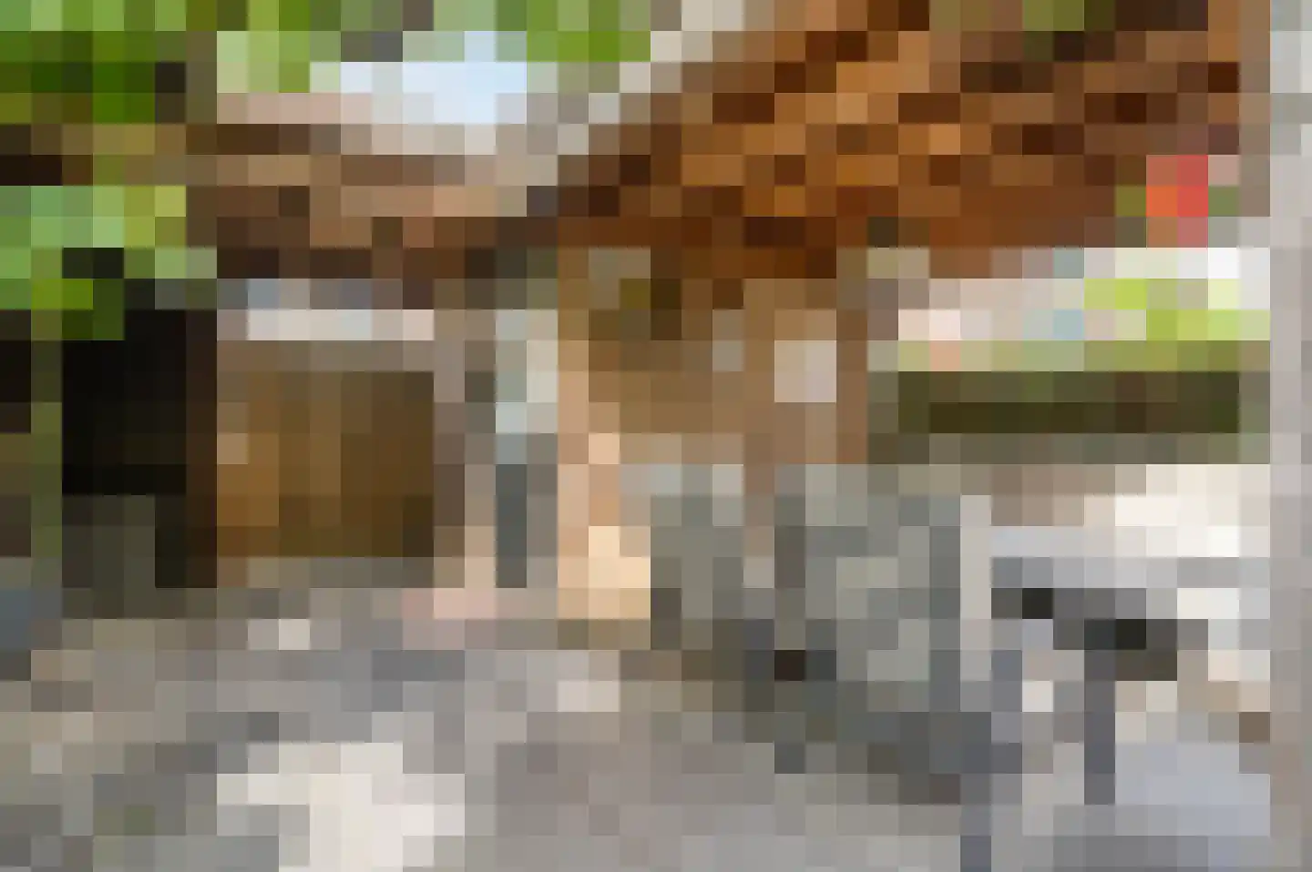 Houtstraat 31 Waddinxveen thumbnail 39