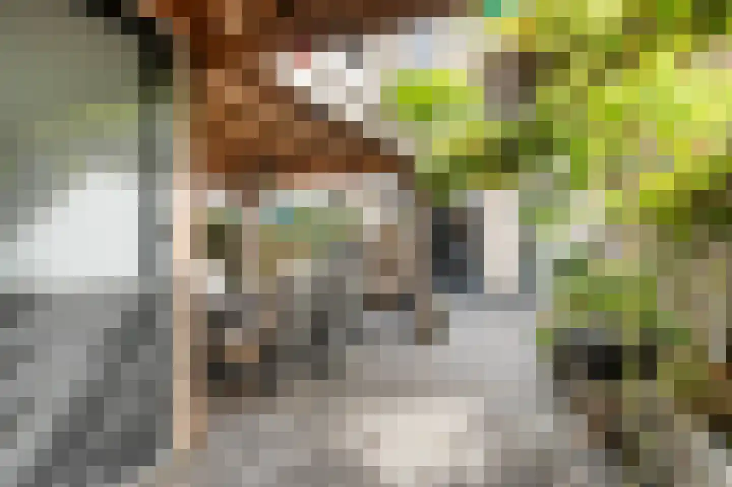 Houtstraat 31 Waddinxveen thumbnail 40