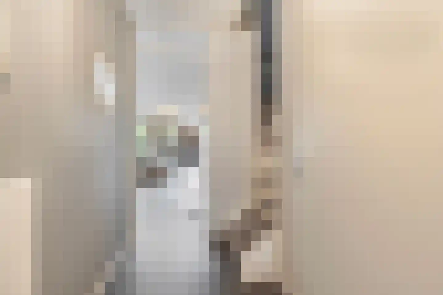 Houtstraat 31 Waddinxveen thumbnail 7