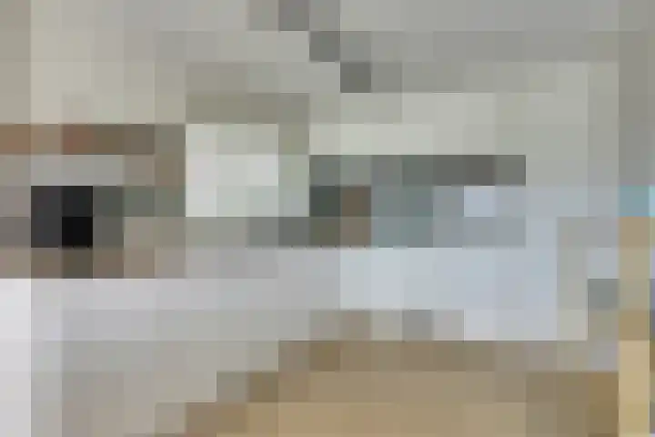 Houtstraat 33 Bovenkarspel thumbnail 15