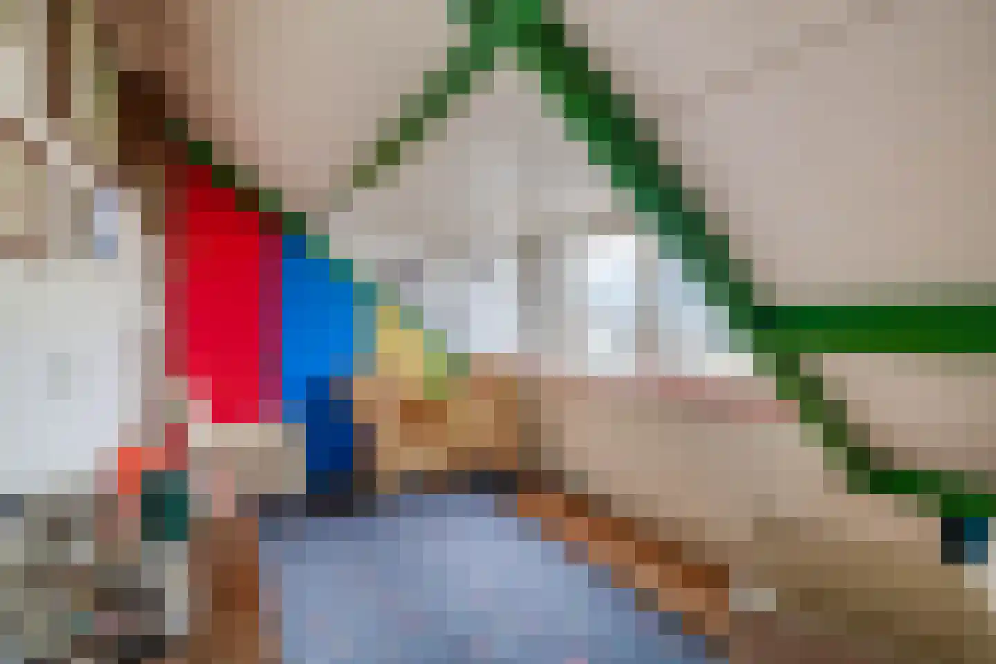 Houtstraat 39 Bergambacht thumbnail 15