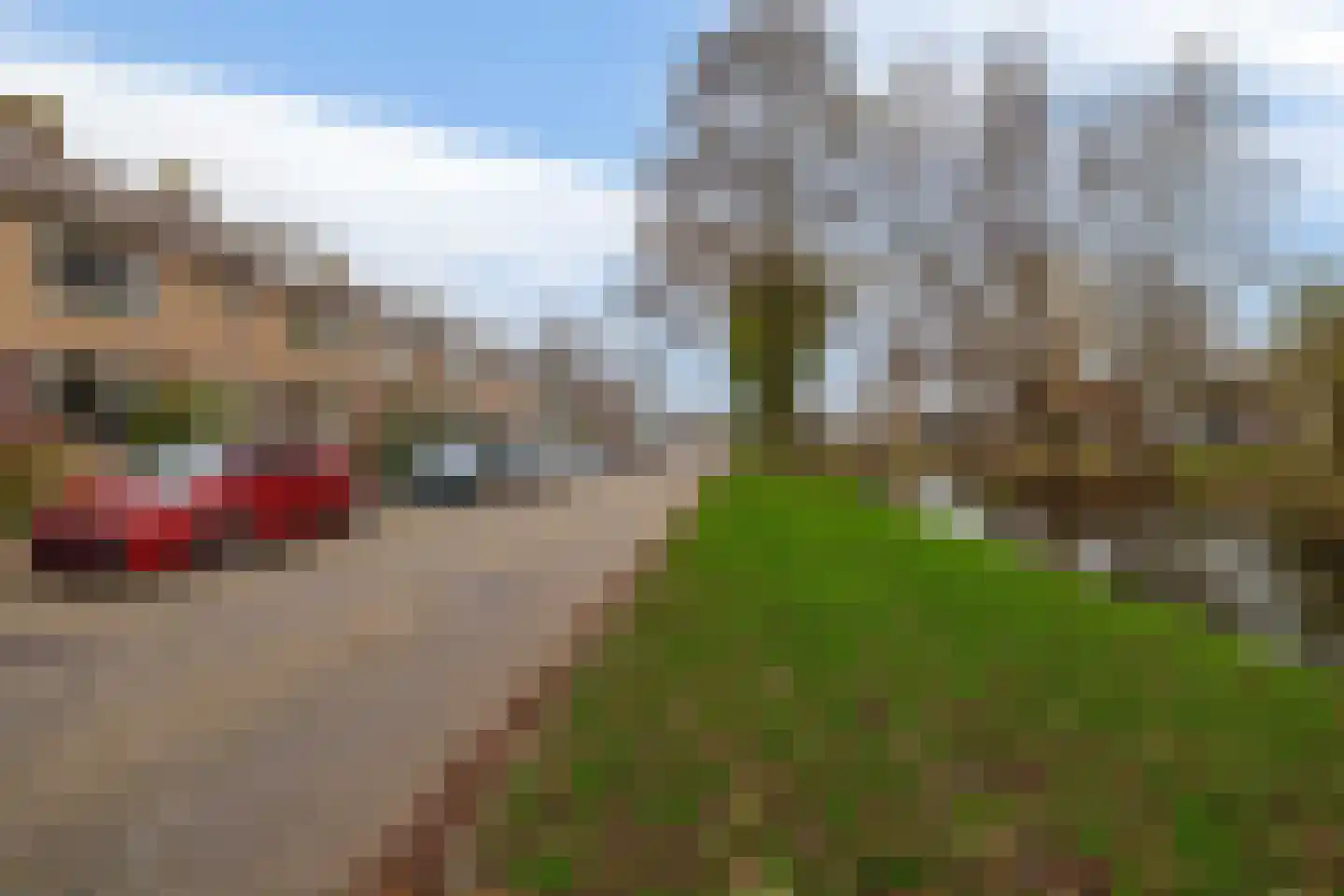 Houtstraat 39 Bergambacht thumbnail 23
