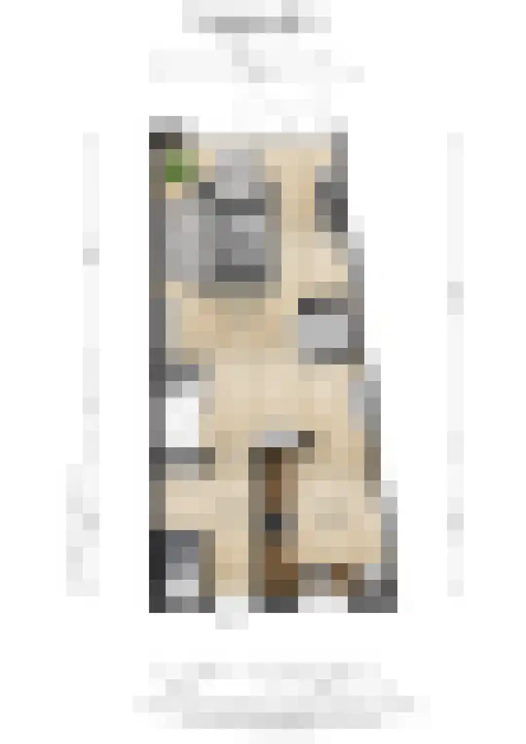 Houtstraat 39 Tilburg thumbnail 32