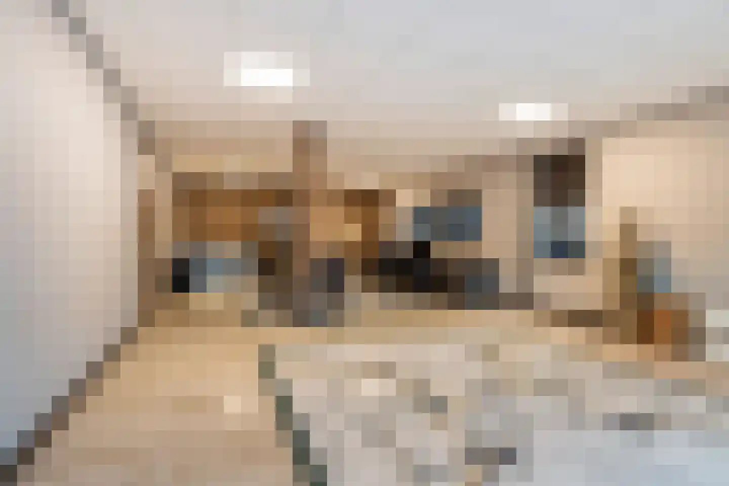 Houtstraat 4 Ridderkerk thumbnail 11