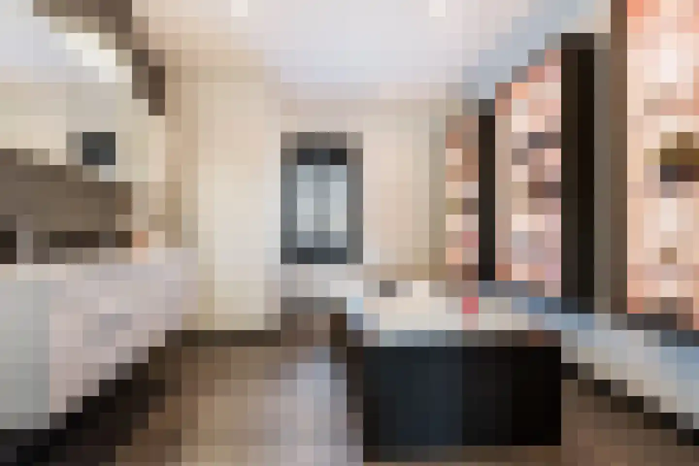 Houtstraat 4 Ridderkerk thumbnail 4
