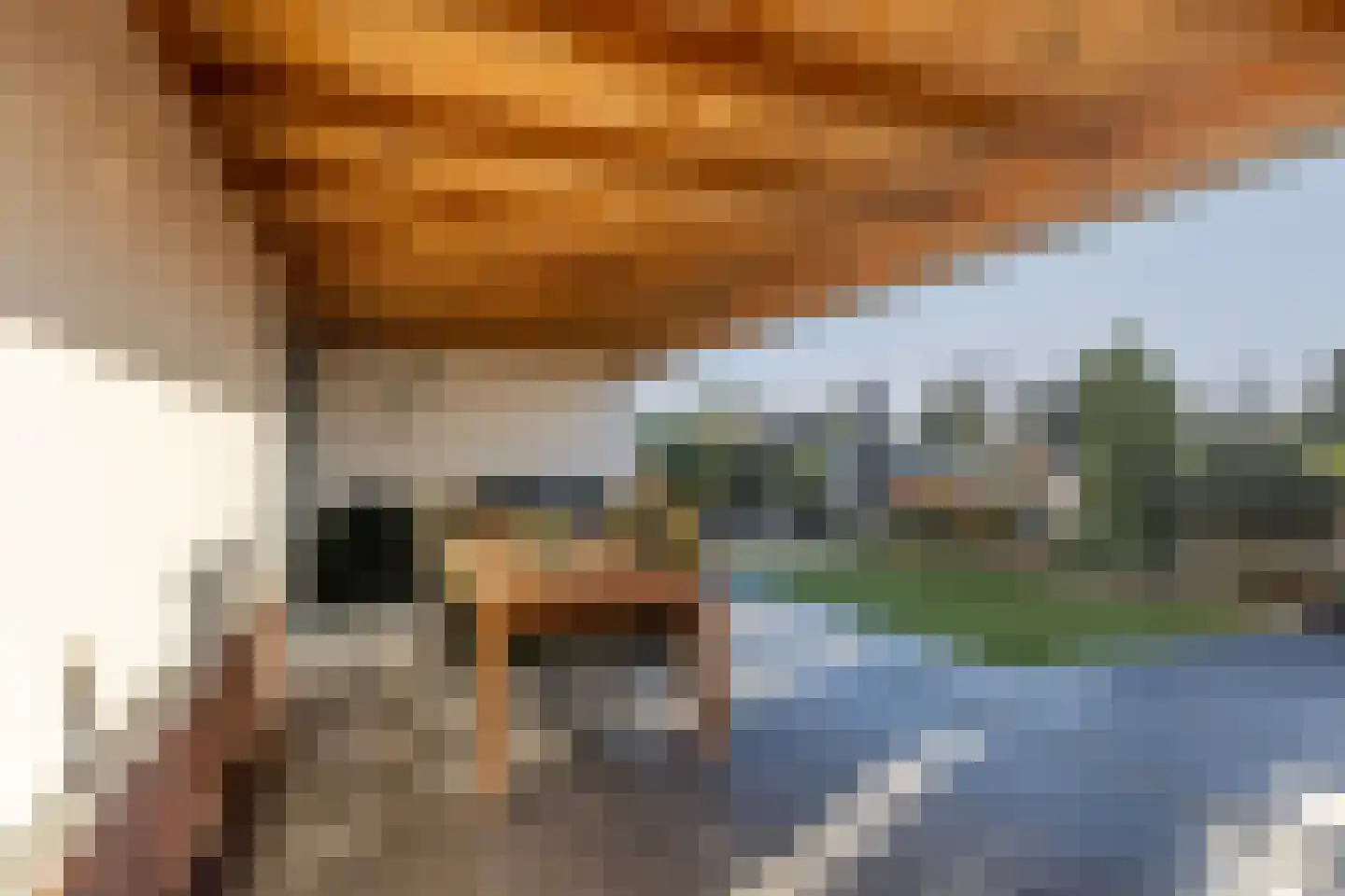 Houtstraat 4 Ridderkerk thumbnail 53