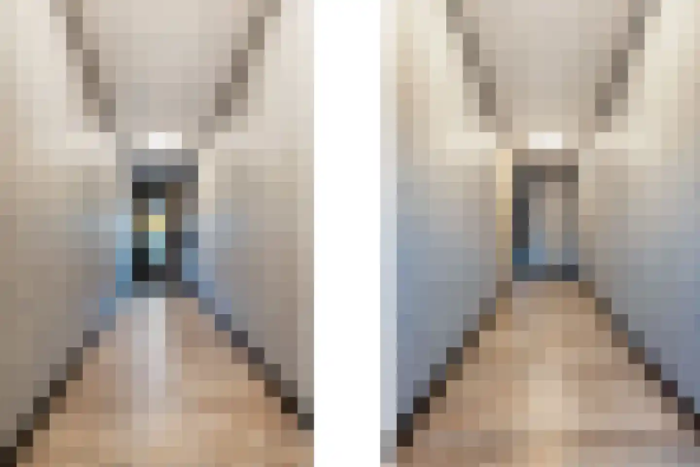 Houtstraat 4 Ridderkerk thumbnail 8
