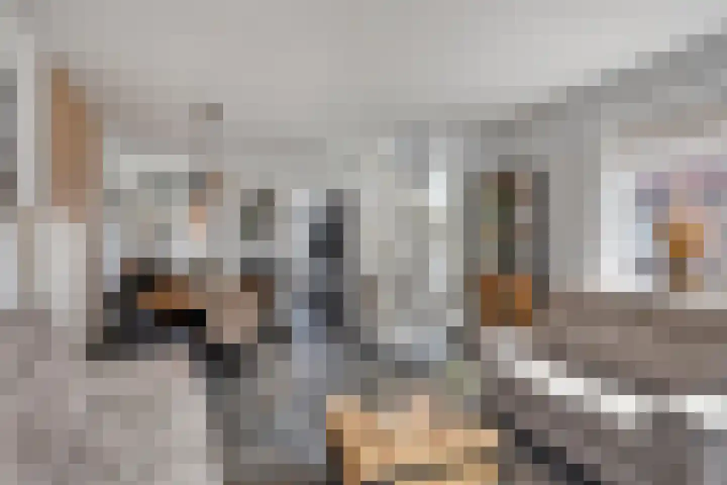 Houtstraat 43 a Tilburg thumbnail 22