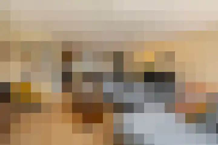 Houtstraat 44 Ede thumbnail 8