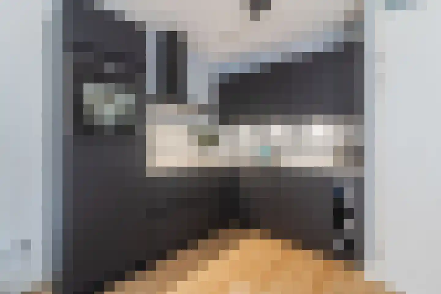 Houtstraat 49 Waddinxveen thumbnail 10