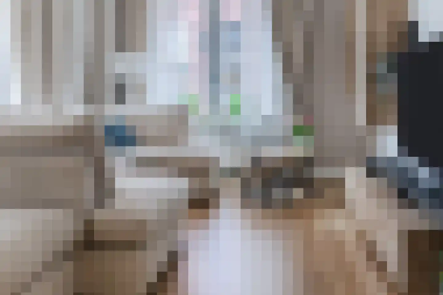 Houtstraat 49 Waddinxveen thumbnail 9