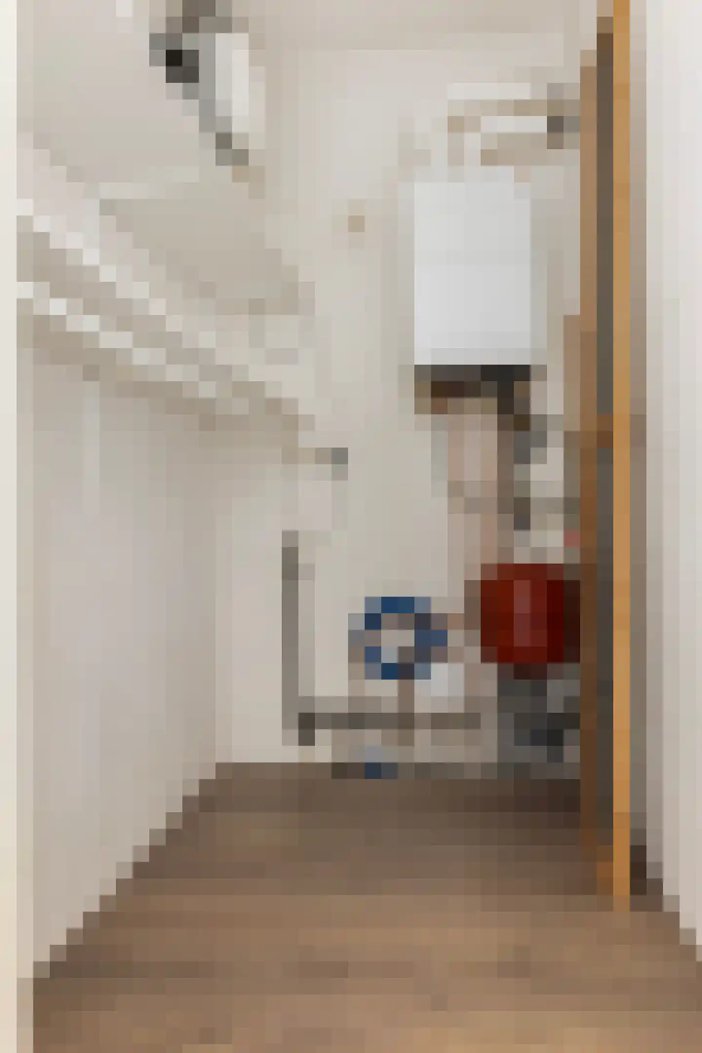 Houtstraat 5 Wamel thumbnail 23