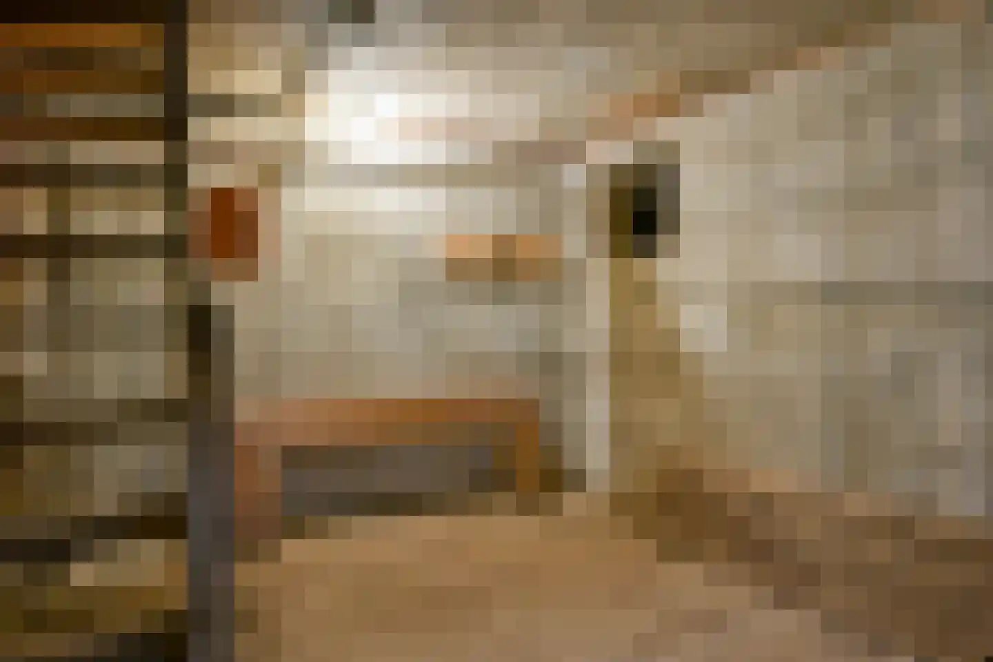 Houtstraat 50 Grevenbicht thumbnail 28
