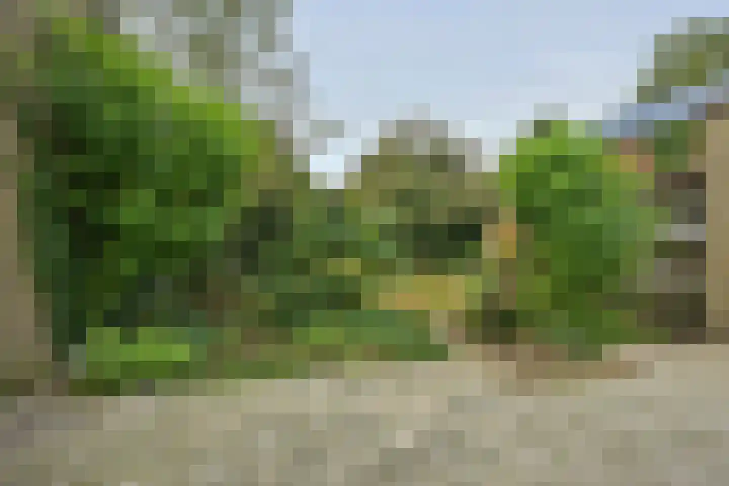 Houtstraat 50 Grevenbicht thumbnail 29