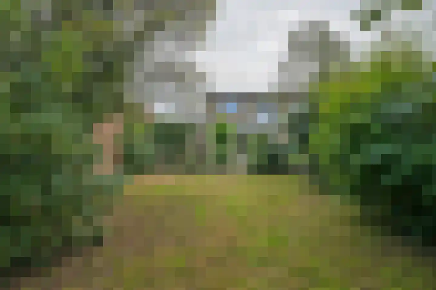 Houtstraat 50 Grevenbicht thumbnail 31