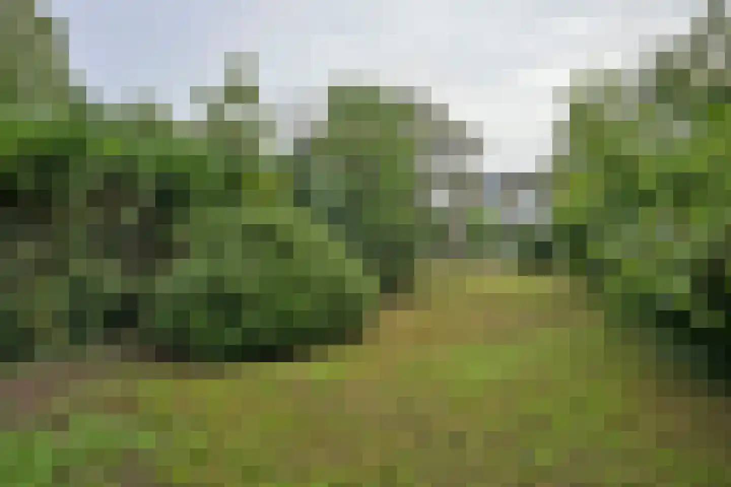Houtstraat 50 Grevenbicht thumbnail 4