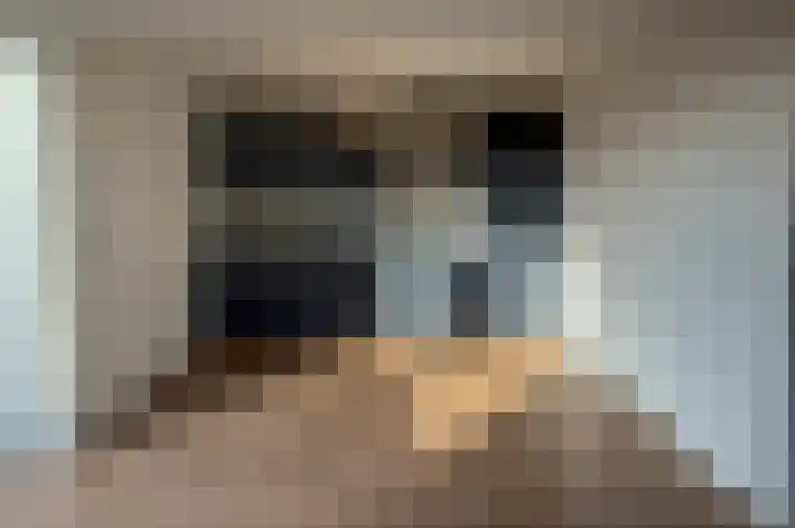 Houtstraat 56 F Echt thumbnail 12