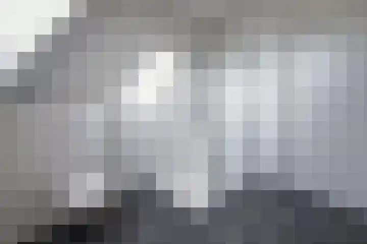 Houtstraat 56 F Echt thumbnail 26