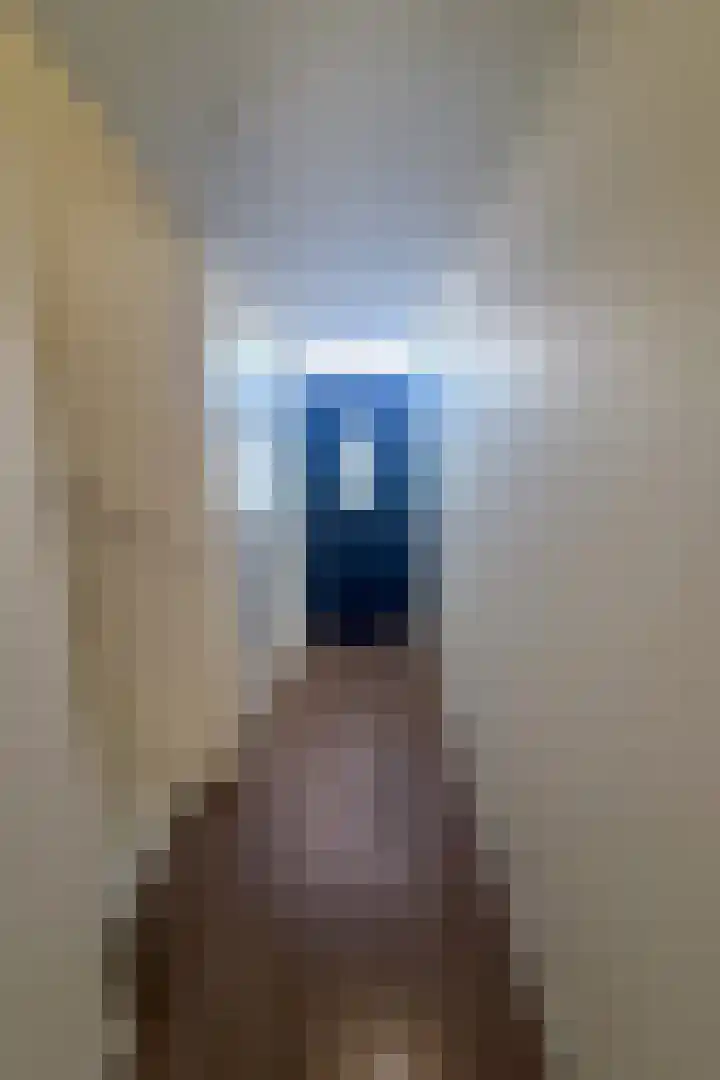 Houtstraat 56 F Echt thumbnail 5