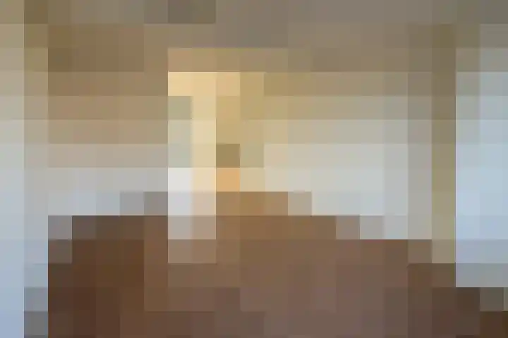 Houtstraat 56 F Echt thumbnail 9