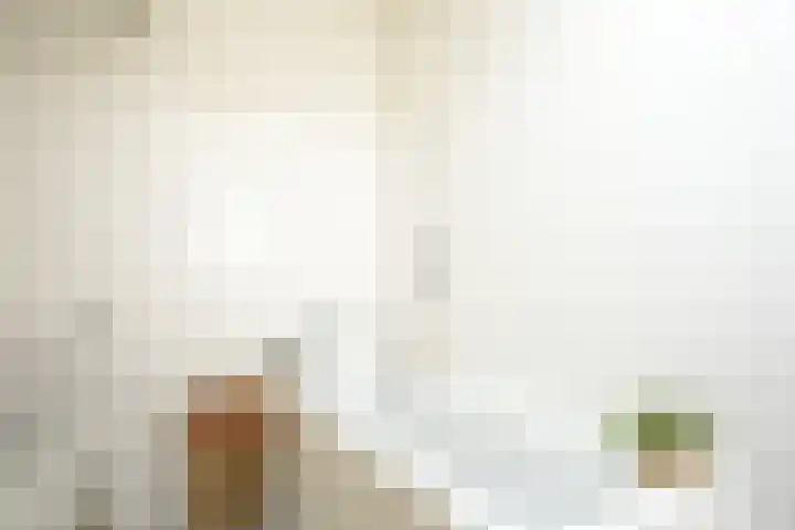 Houtstraat 70 Grevenbicht thumbnail 20