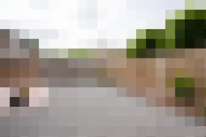 Houtstraat 70 Grevenbicht thumbnail 25